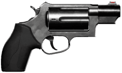 Judge WARDOGS item render